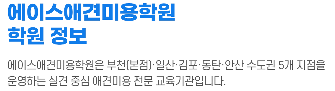 에이스애견미용학원 학원 정보 섹션 제목 이미지