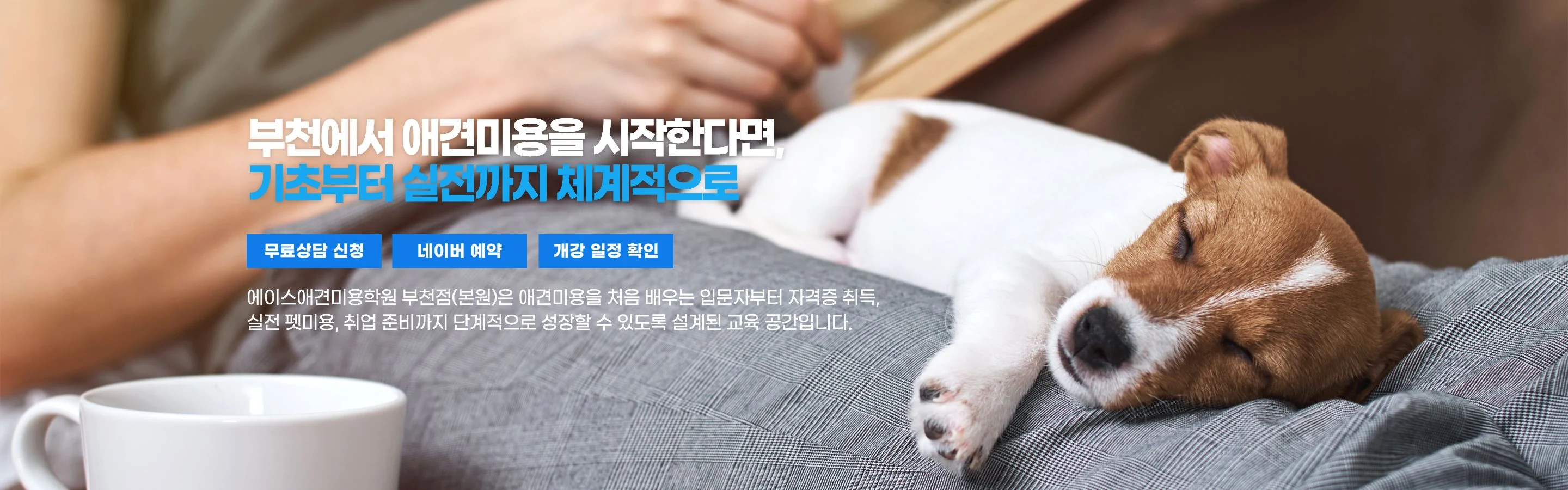 부천에서 애견미용을 시작한다면, 기초부터 실전까지 체계적으로 — 에이스애견미용학원 부천점(본원)은 애견미용을 처음 배우는 입문자부터 자격증 취득, 실전 펫미용, 취업 준비까지 단계적으로 성장할 수 있도록 설계된 교육 공간입니다.