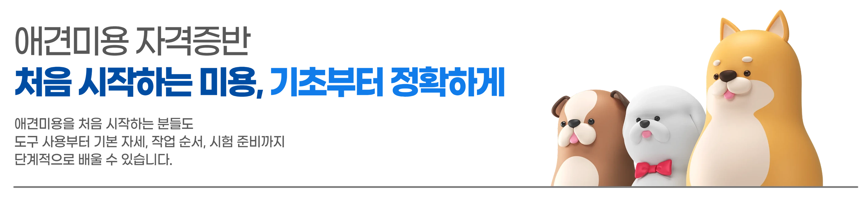 애견미용 자격증반 소개 배너