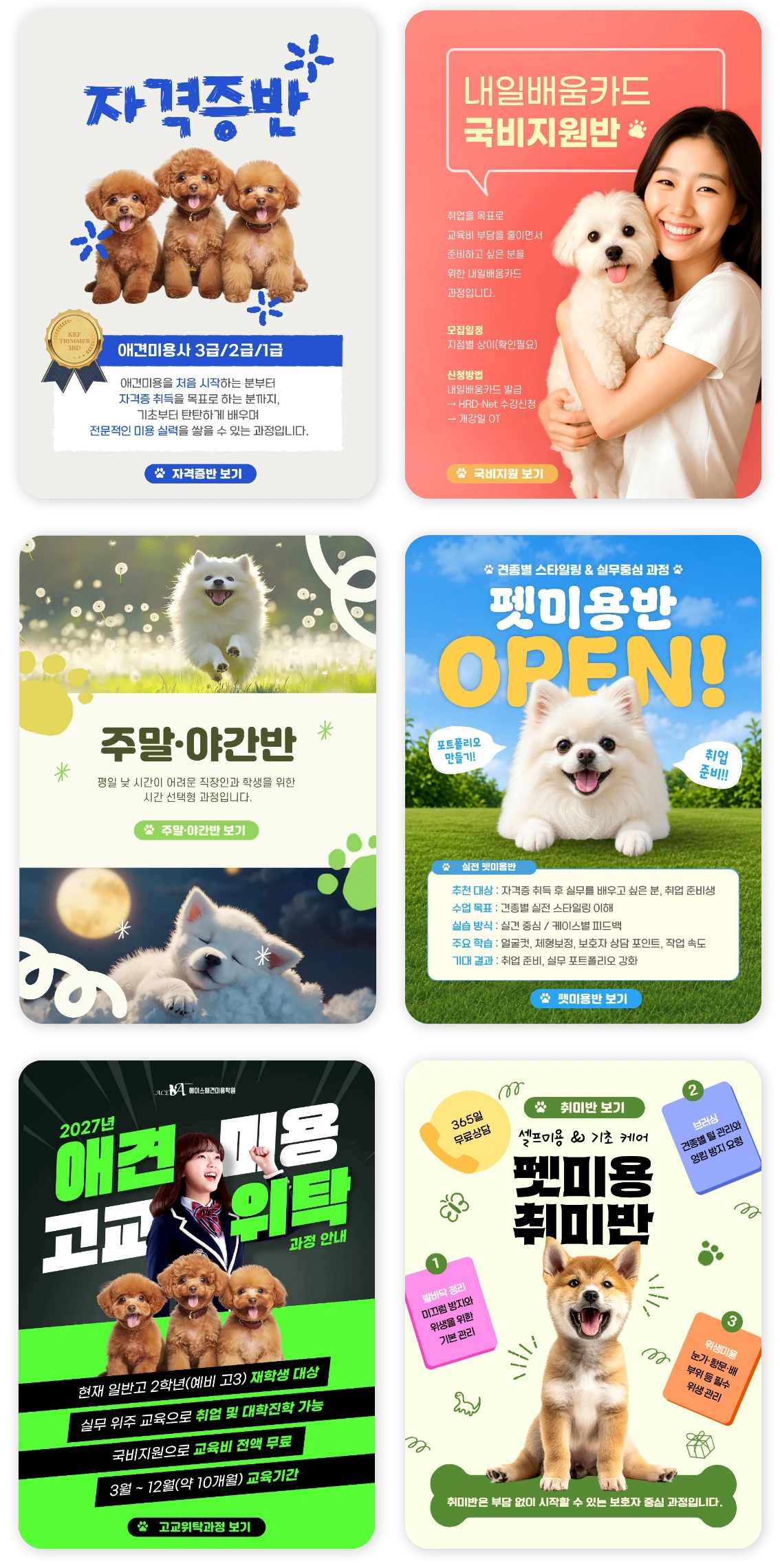 자격증반·국비지원반·주말야간반·실전 펫미용반·고교위탁 과정·취미반 6개 과정 카드 이미지