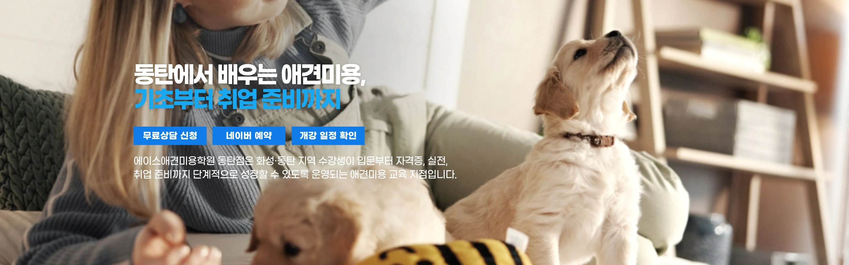 동탄에서 배우는 애견미용, 기초부터 취업 준비까지 — 에이스애견미용학원 동탄점은 화성·동탄 지역 수강생이 입문부터 자격증, 실전, 취업 준비까지 단계적으로 성장할 수 있도록 운영되는 애견미용 교육 지점입니다.