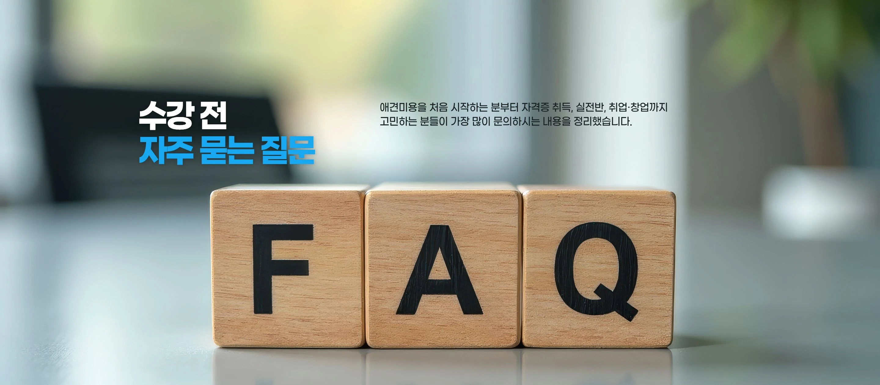 수강 전 자주 묻는 질문 — 애견미용을 처음 시작하는 분부터 자격증 취득, 실전반, 취업·창업까지 고민하는 분들이 가장 많이 문의하시는 내용을 정리했습니다.