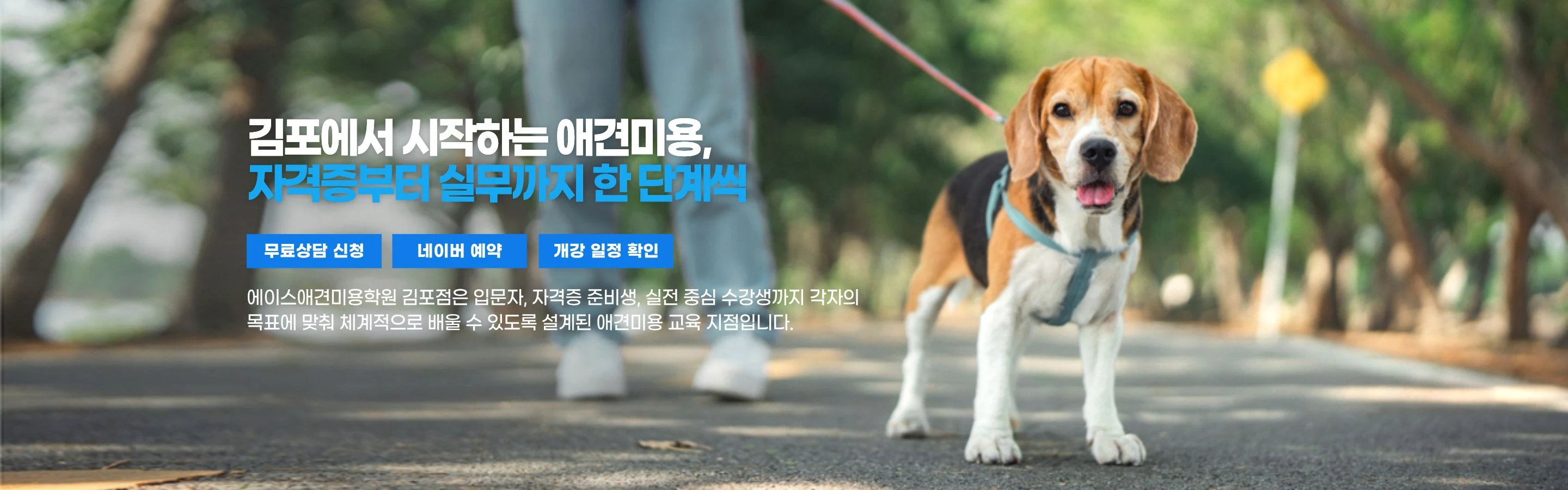 김포에서 시작하는 애견미용, 자격증부터 실무까지 한 단계씩 — 에이스애견미용학원 김포점은 입문자, 자격증 준비생, 실전 중심 수강생까지 각자의 목표에 맞춰 체계적으로 배울 수 있도록 설계된 애견미용 교육 지점입니다.