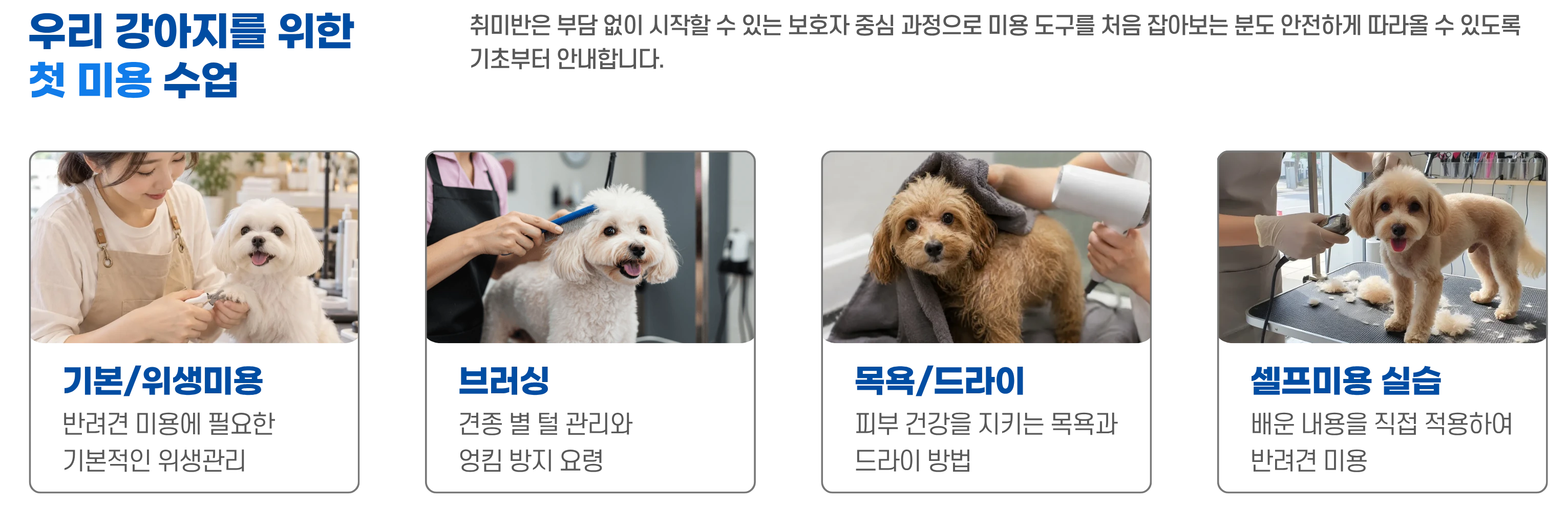취미반에서 배우는 미용 수업 4가지를 사진 카드로 안내하는 이미지