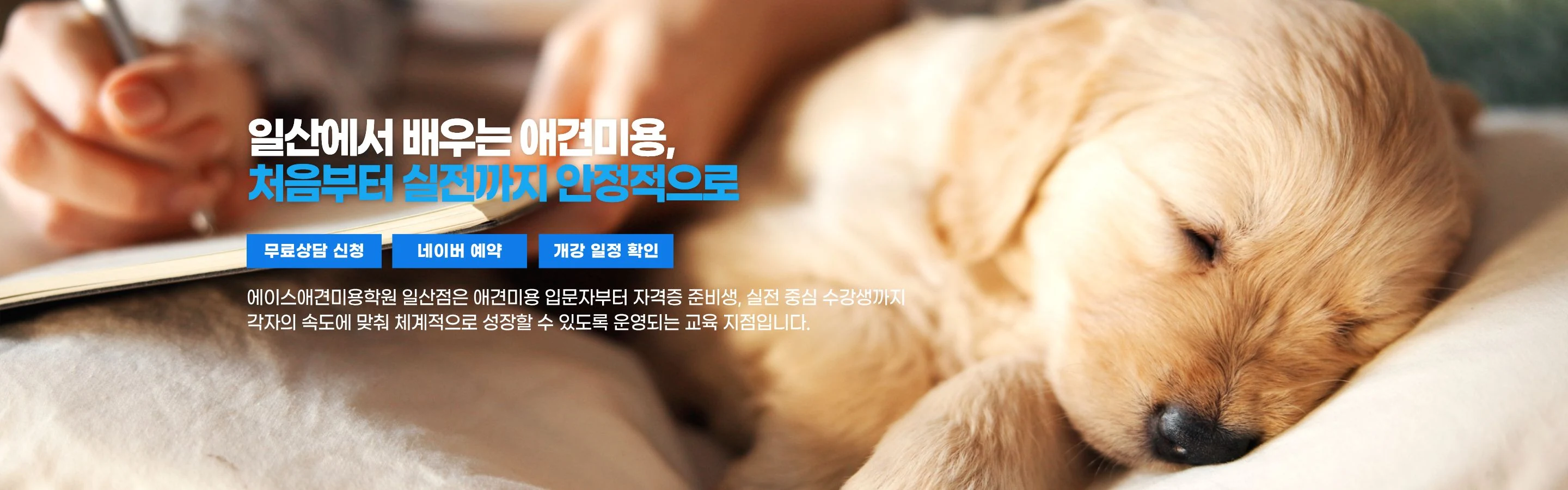 일산에서 배우는 애견미용, 처음부터 실전까지 안정적으로 — 에이스애견미용학원 일산점은 애견미용 입문자부터 자격증 준비생, 실전 중심 수강생까지 각자의 속도에 맞춰 체계적으로 성장할 수 있도록 운영되는 교육 지점입니다.
