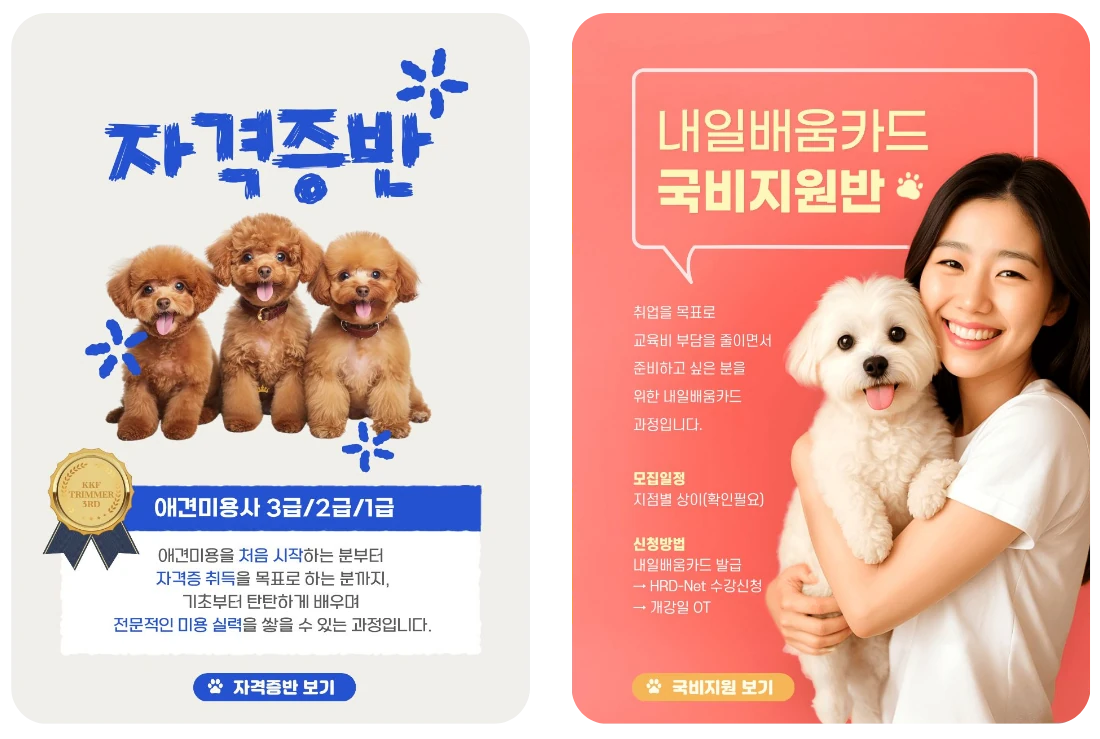 자격증반·국비지원반 과정 카드 이미지