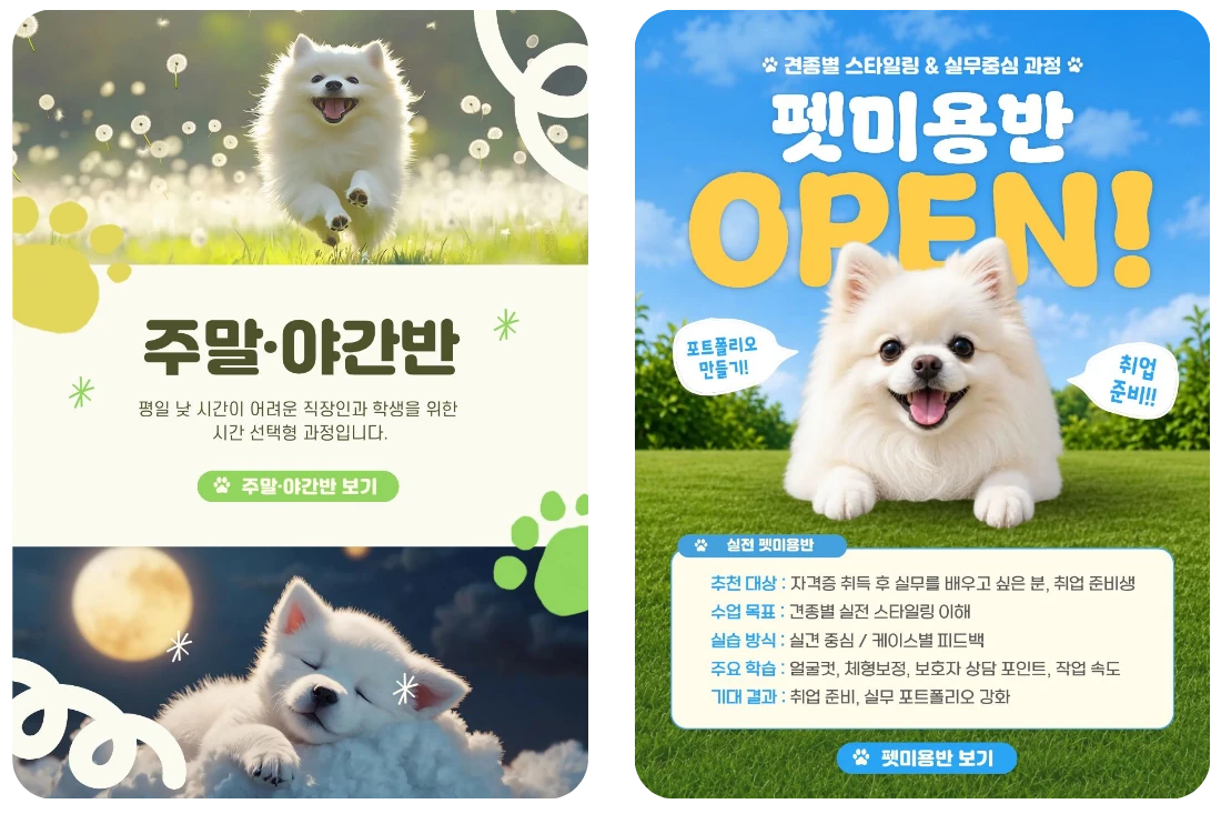 주말·야간반·실전 펫미용반 과정 카드 이미지