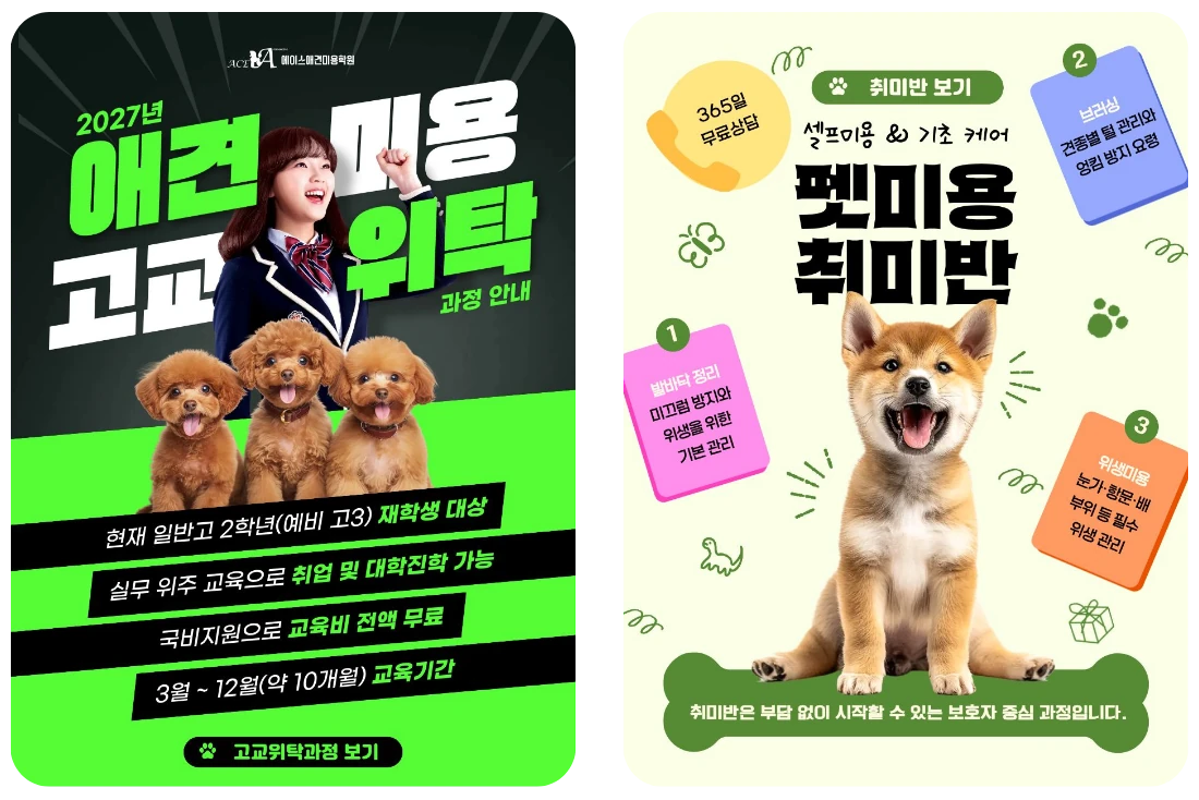고교위탁 과정·펫미용 취미반 과정 카드 이미지