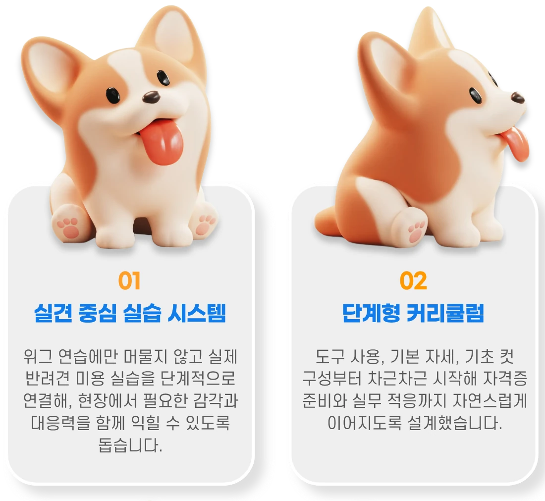 코기 일러스트와 함께 강점 01·02를 소개하는 카드 이미지