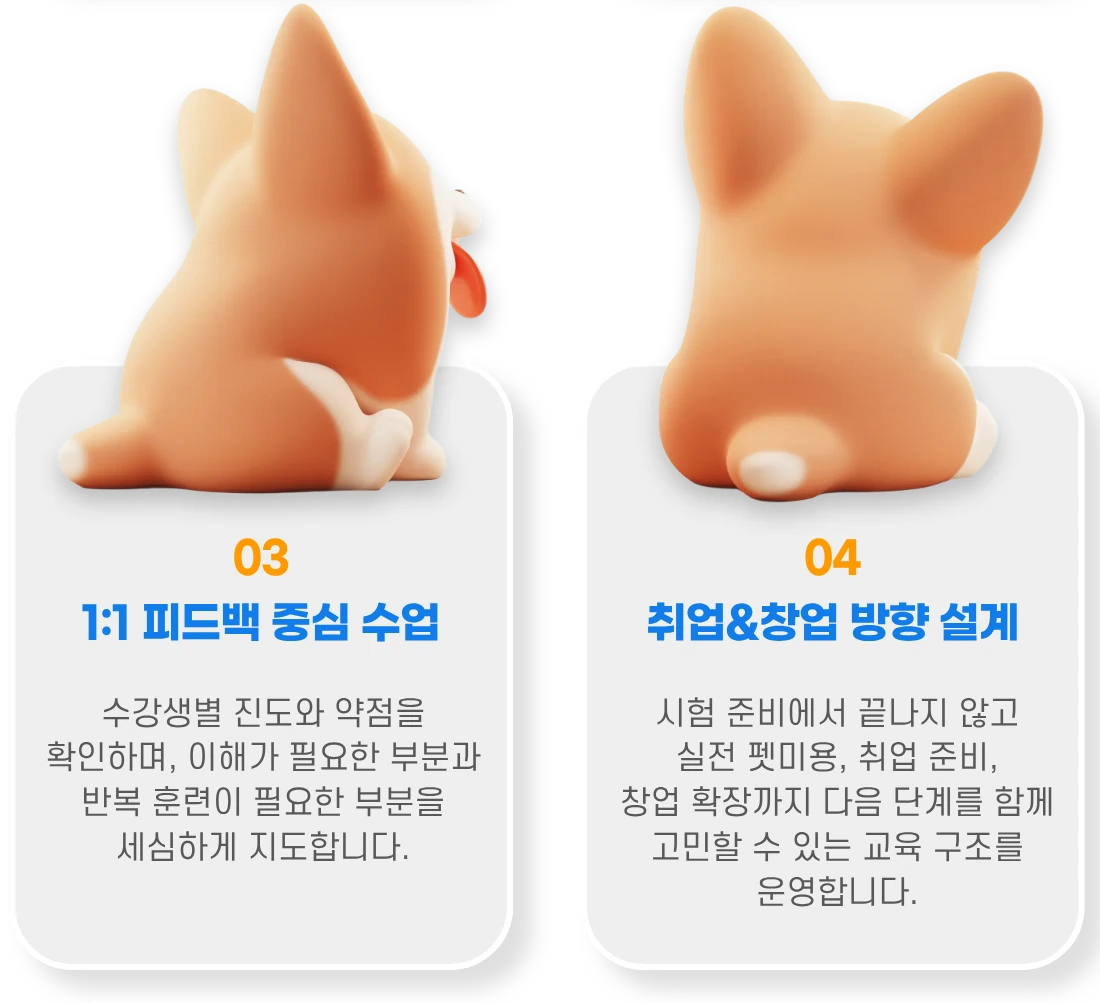 코기 일러스트와 함께 강점 03·04를 소개하는 카드 이미지