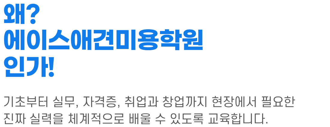 왜? 에이스애견미용학원 인가! 섹션 제목 이미지
