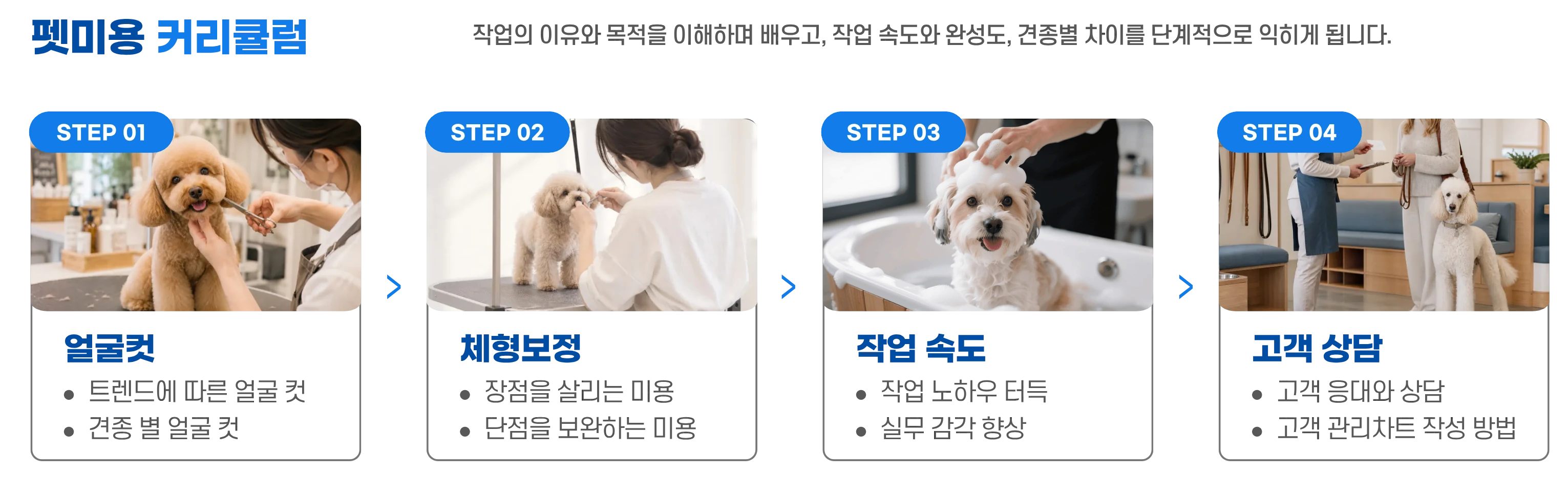 펫미용 커리큘럼 STEP 01~04를 실습 사진과 함께 안내하는 이미지