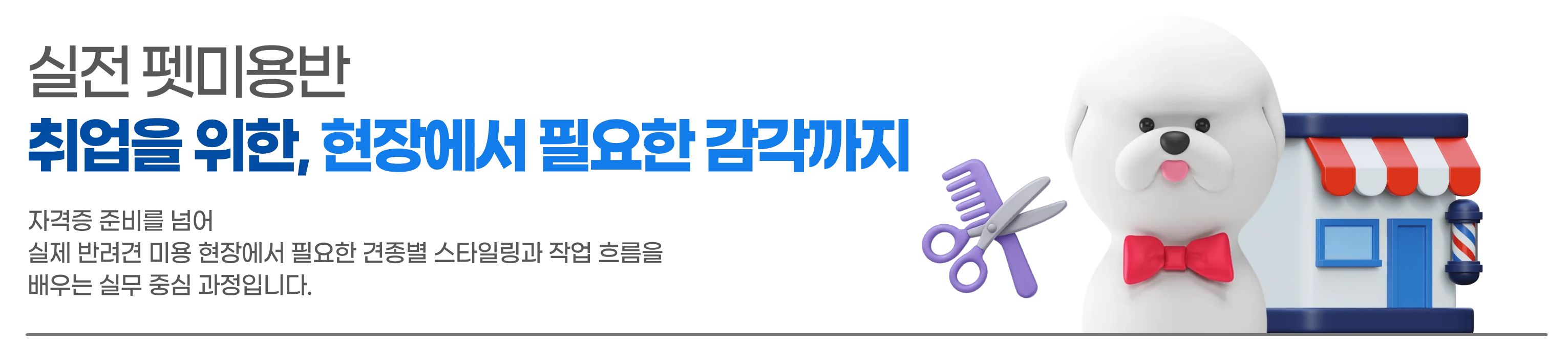 실전 펫미용반 소개 배너