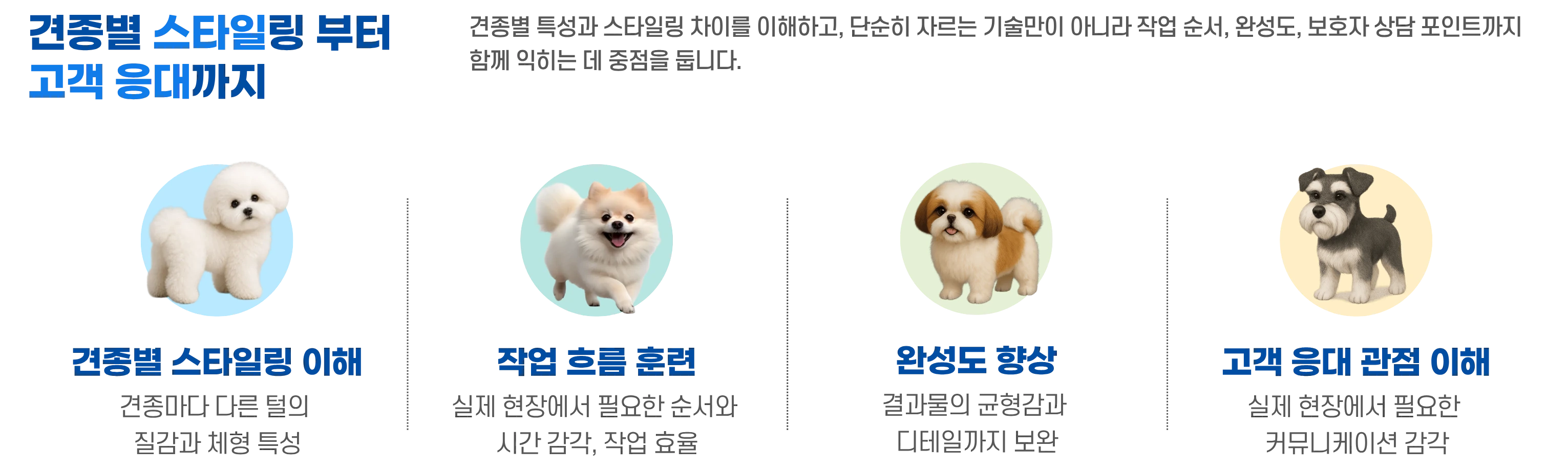 견종별 스타일링부터 고객 응대까지 4가지 포인트를 아이콘으로 안내하는 이미지