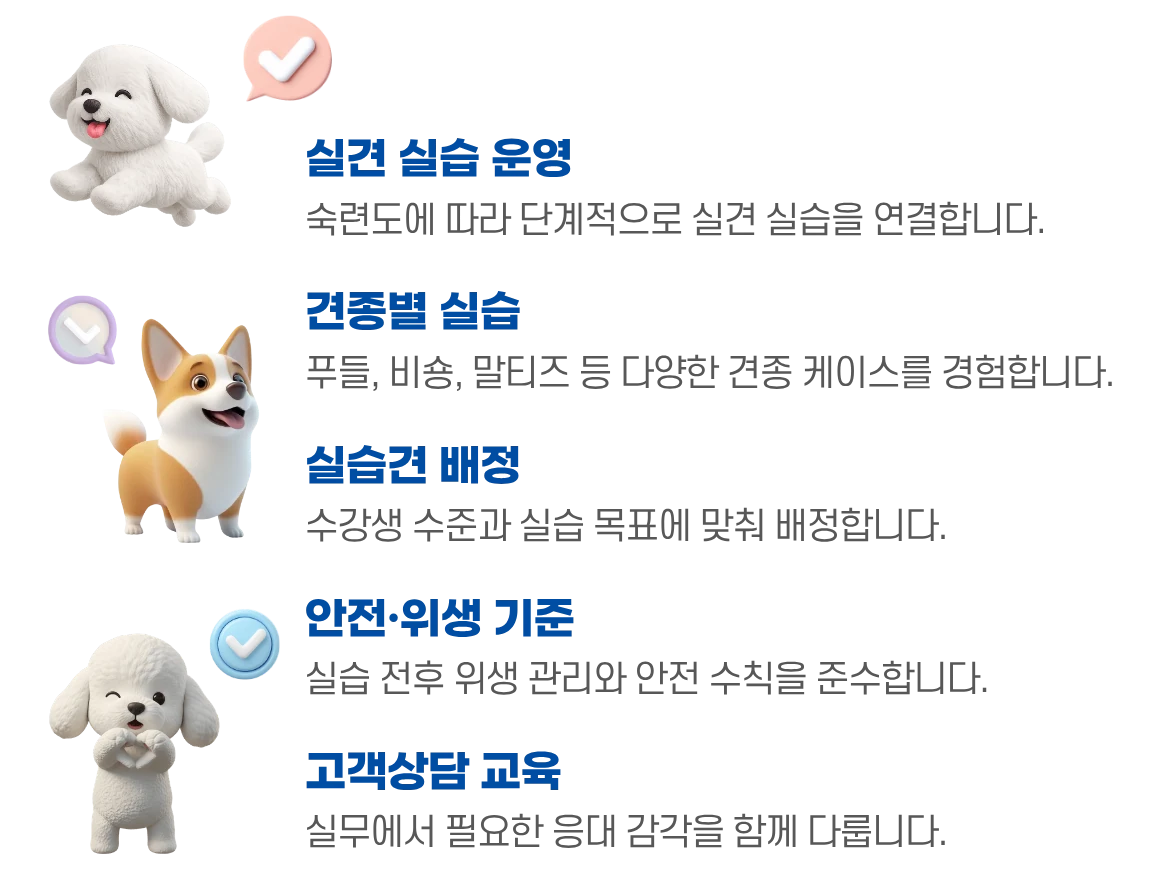 강아지 일러스트와 함께 실습 운영 방식 5가지를 안내하는 이미지