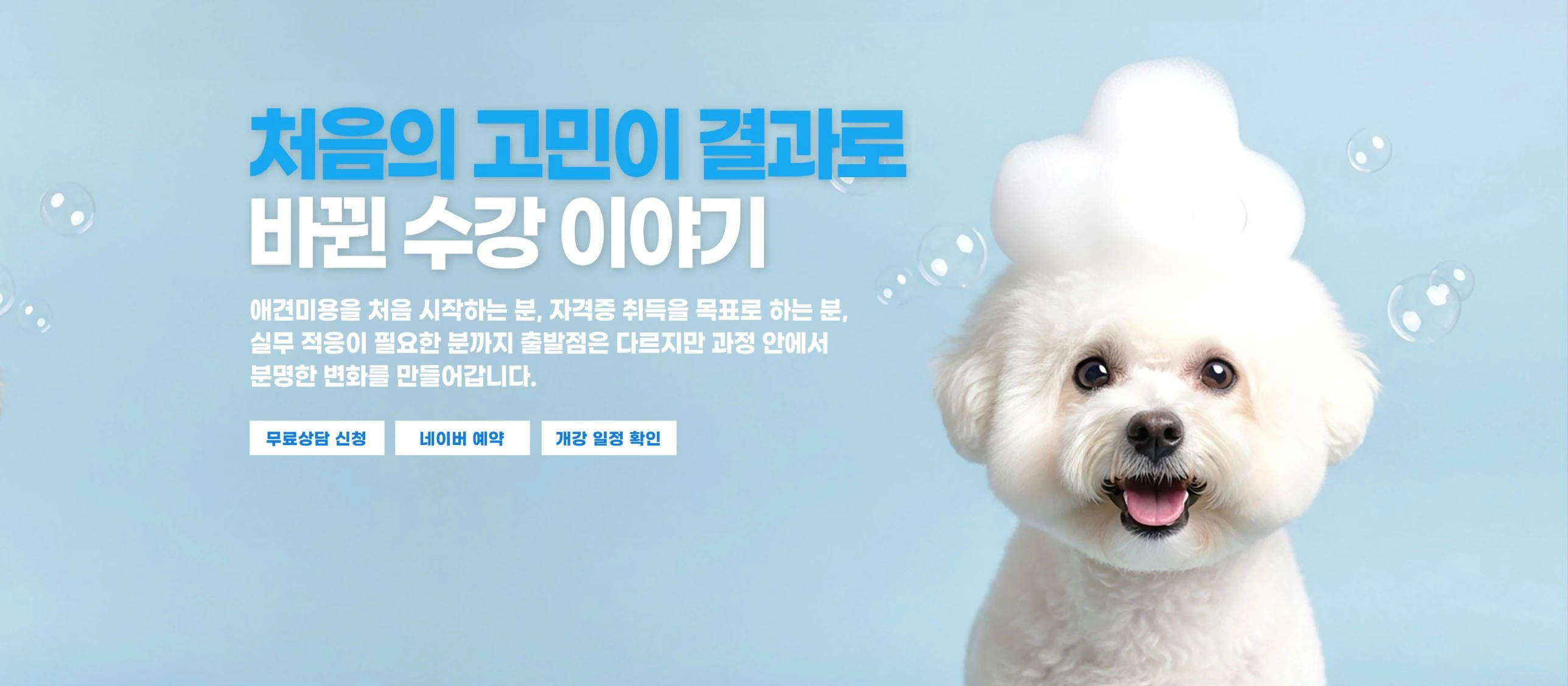 처음의 고민이 결과로 바뀐 수강 이야기 — 거품을 얹은 비숑 프리제 강아지 배너