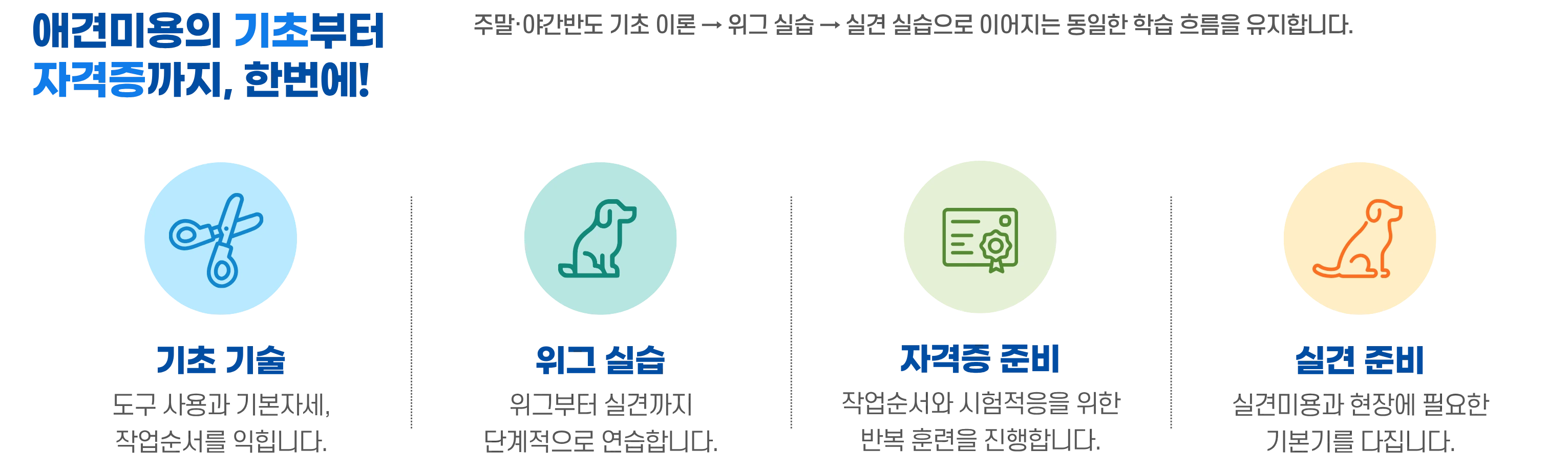 애견미용의 기초부터 자격증까지 이어지는 4단계를 아이콘으로 안내하는 이미지