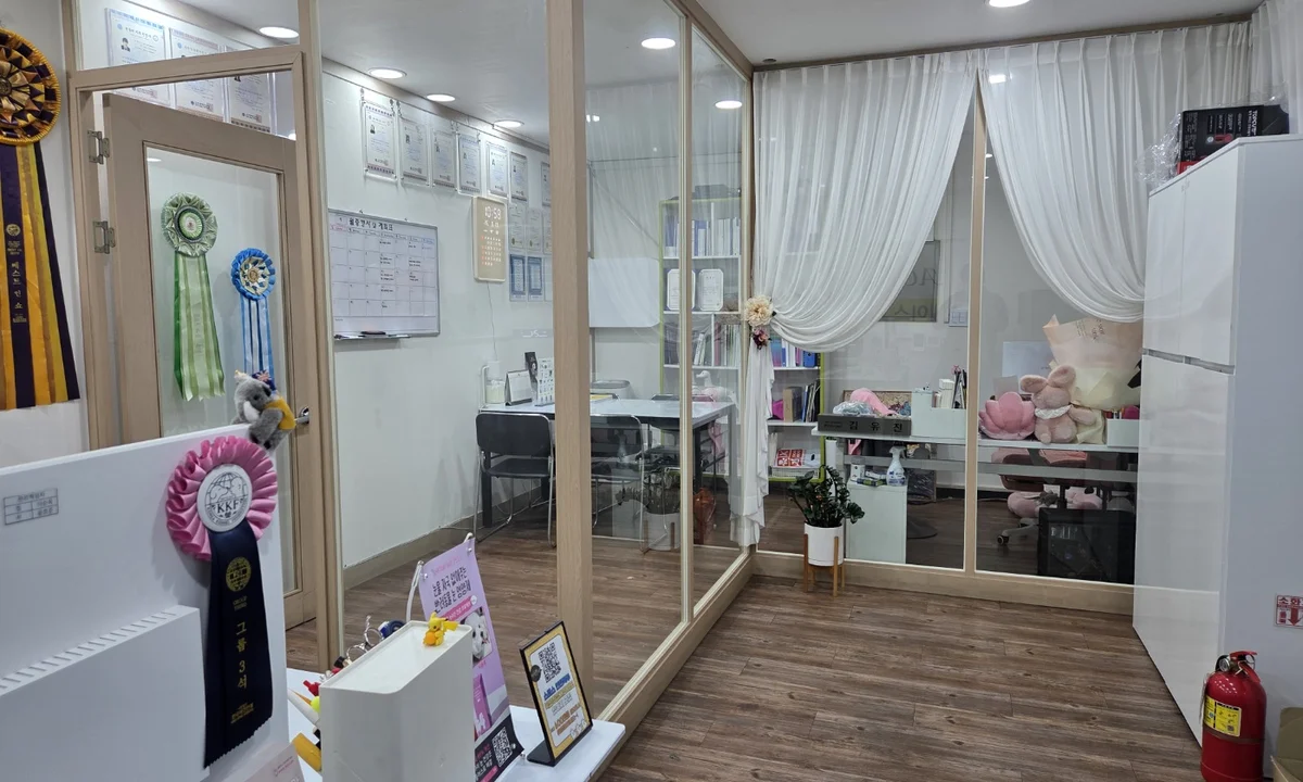 에이스애견미용학원 부천점 상담 공간