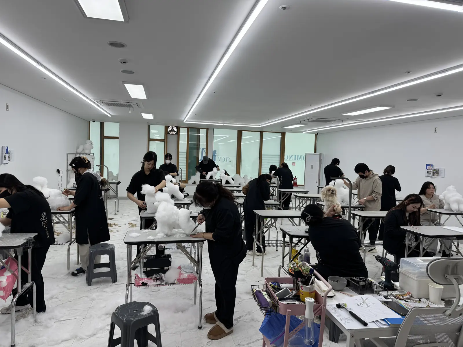 에이스애견미용학원 실습 수업 — 위그 실습 중인 수강생들