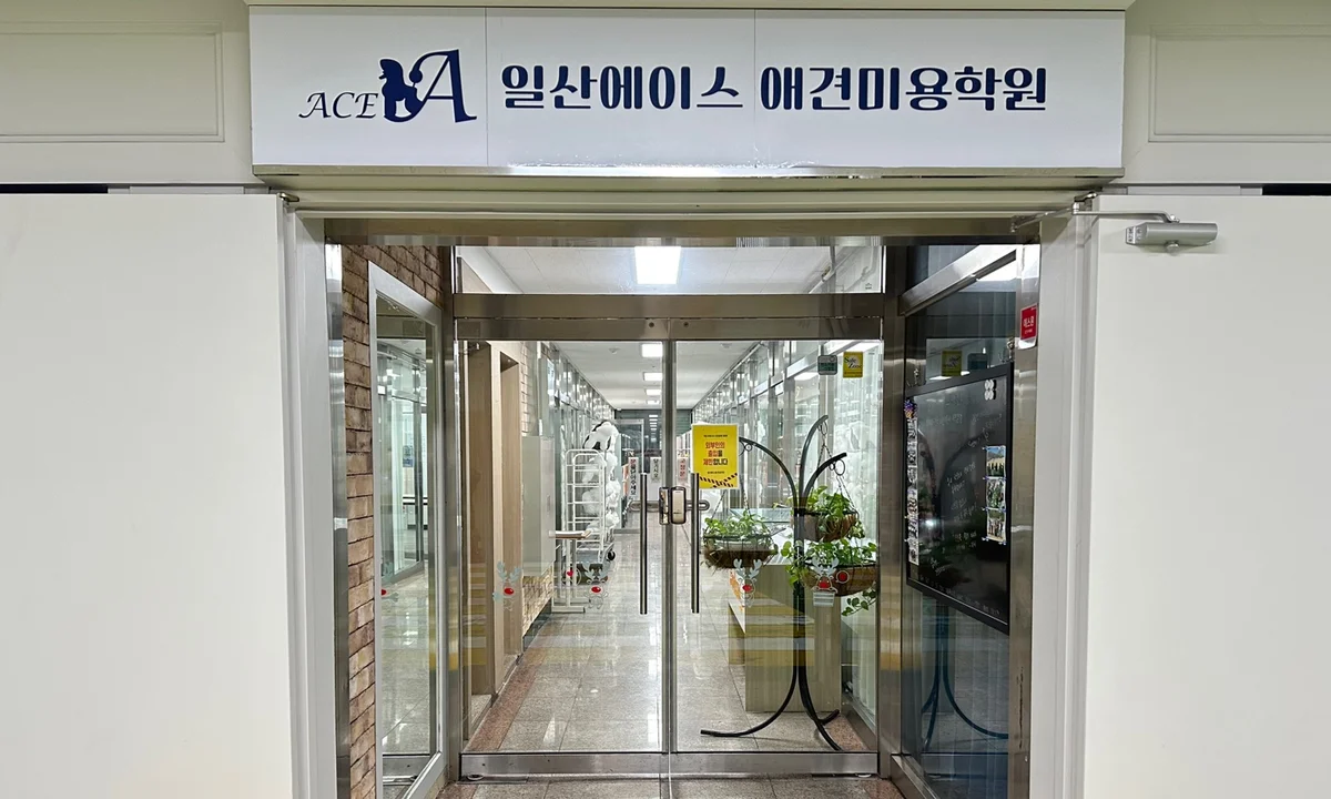 에이스애견미용학원 일산점 입구